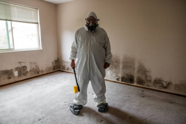 Best Mold Prevention Services  in Willmsburg, IA